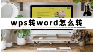 Mac电脑如何下载WPS Office？